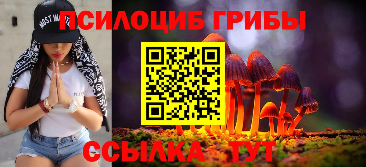 Псилоцибиновые грибы прущие грибы  Вход с VPN  Саратов 